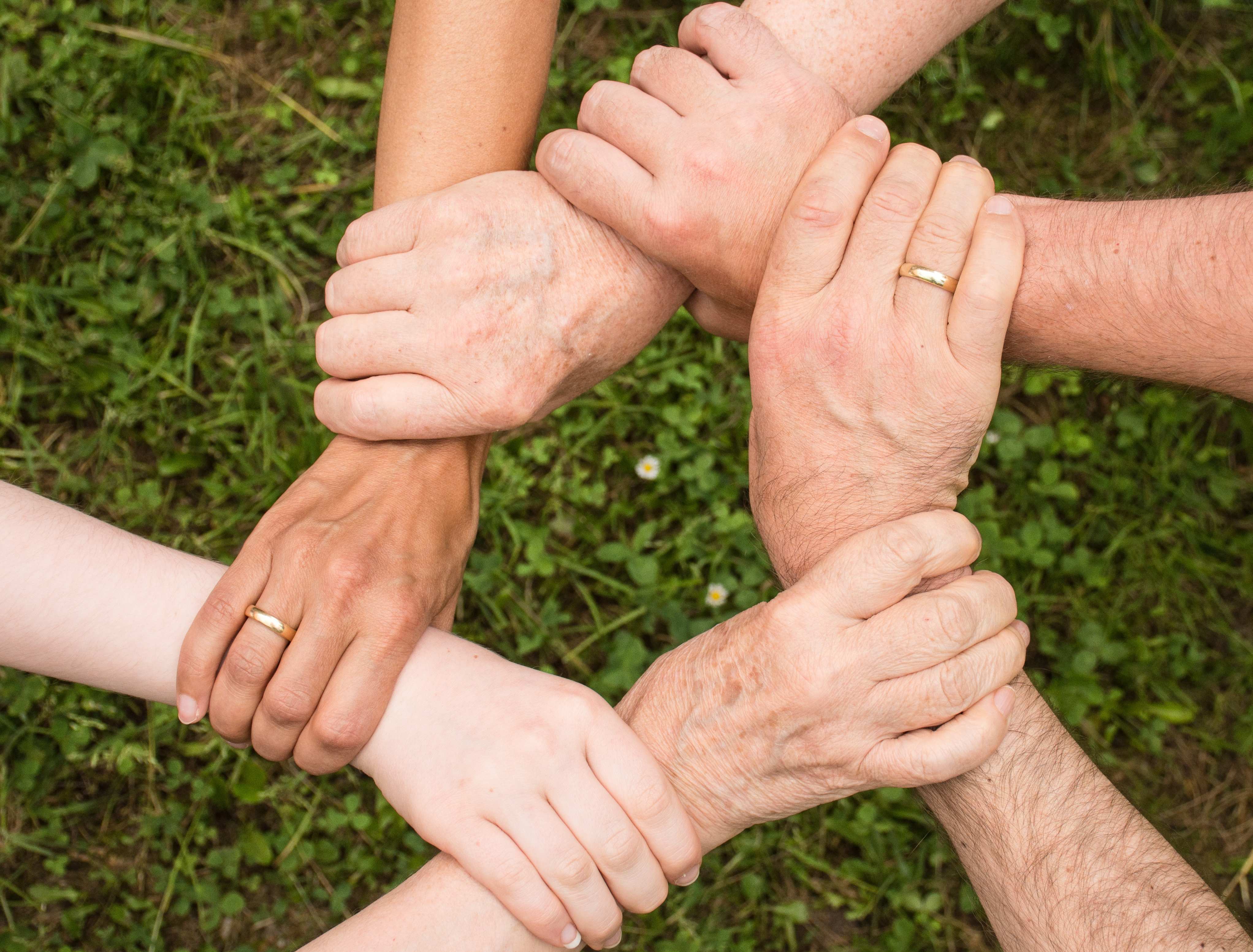 Photo by Pixabay Group of People Holding Arms1